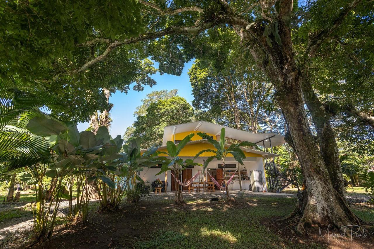Puerto Viejo Club, Villas & Pool Puerto Viejo de Talamanca エクステリア 写真