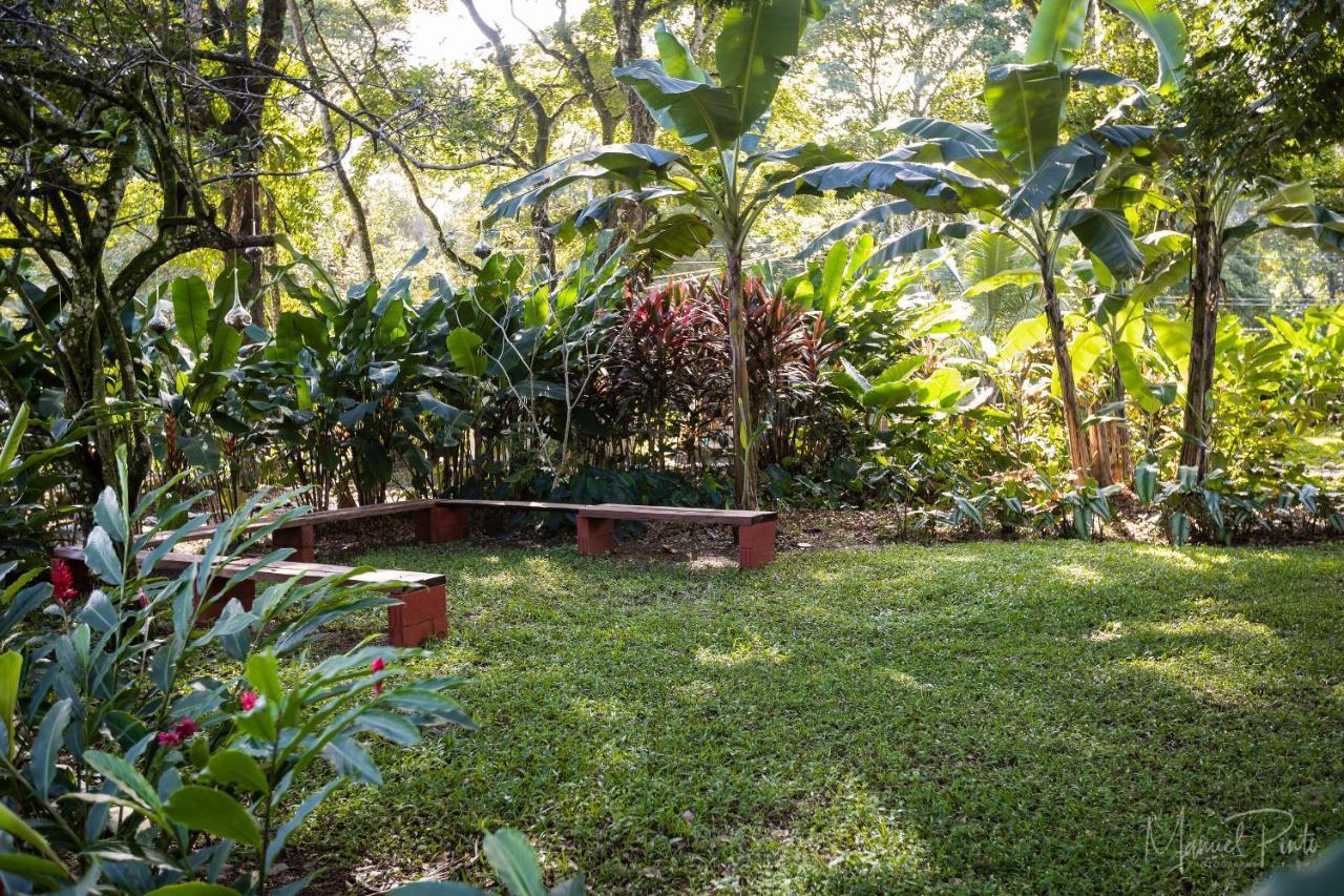 Puerto Viejo Club, Villas & Pool Puerto Viejo de Talamanca エクステリア 写真