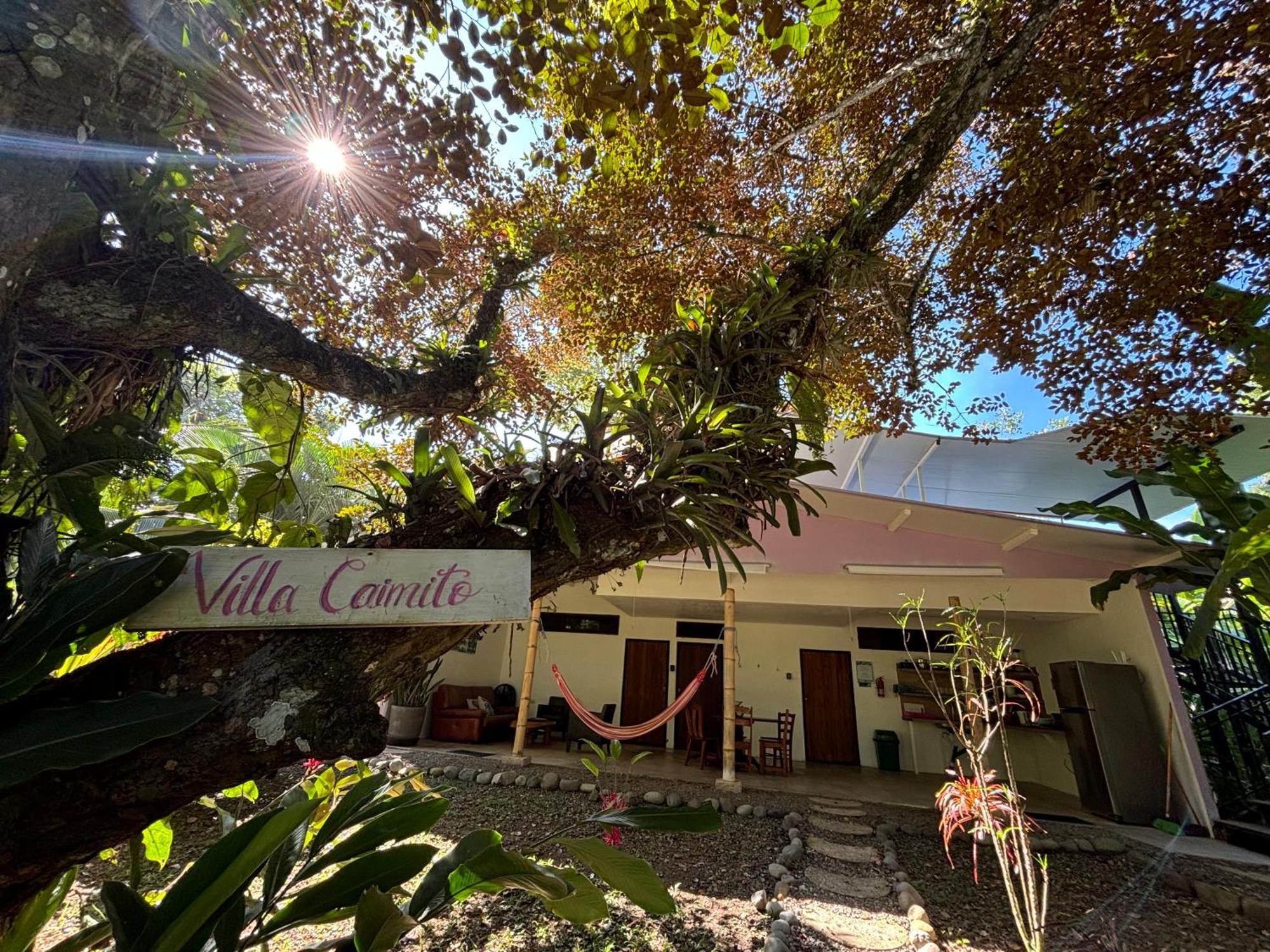 Puerto Viejo Club, Villas & Pool Puerto Viejo de Talamanca エクステリア 写真